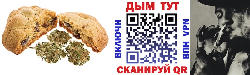 ОМГ ОМГ как войти  Сясьстрой  Canna-Cookies марихуана 