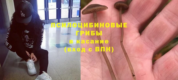 a pvp Михайловск