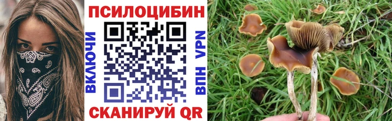 Галлюциногенные грибы MAGIC MUSHROOMS  OMG   Сясьстрой  наркотики 