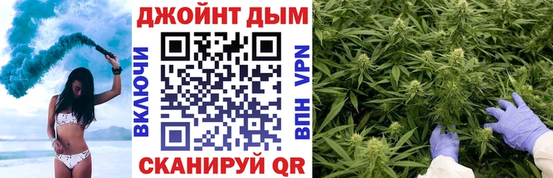 где купить наркотик  Сясьстрой  Шишки марихуана конопля 